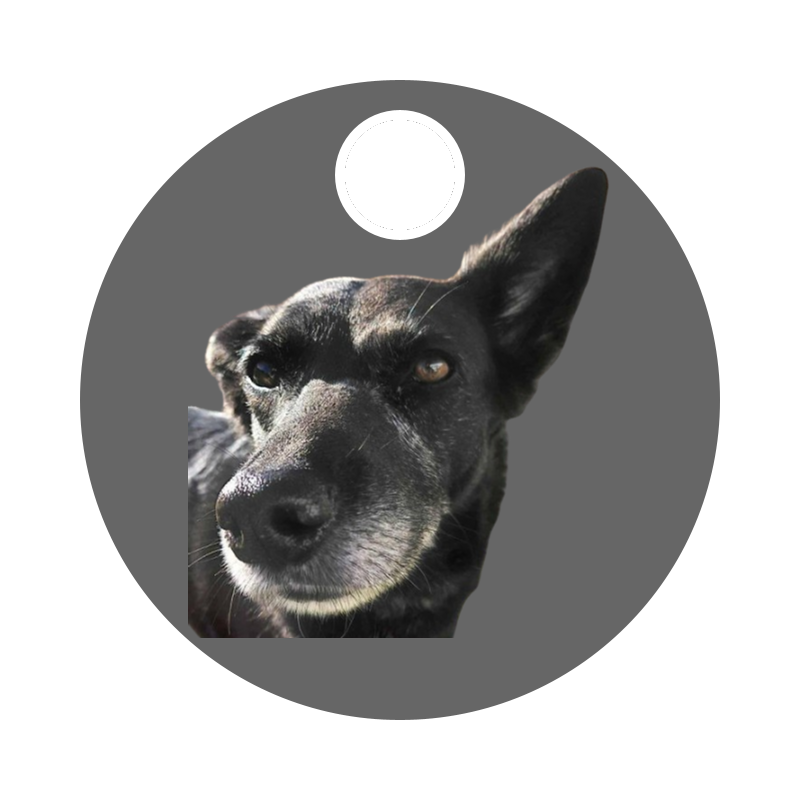 Clock face